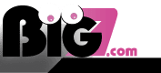 Big7 Logo